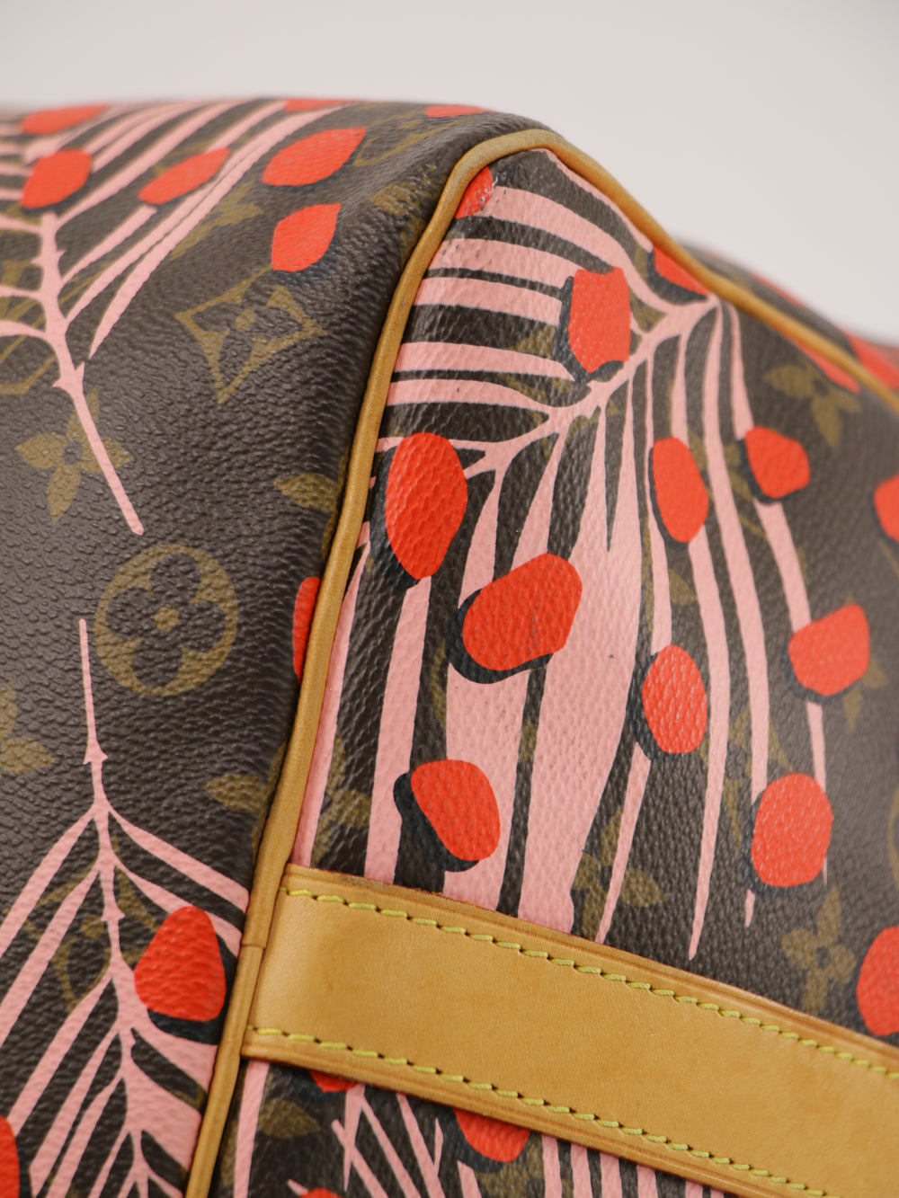 Jungle Dot Keepall 50
